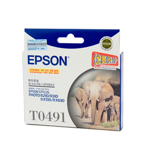 Epson Oem  T049190 Black - Click to enlarge