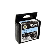 Epson OEM Ultra Pro 10(T46S5) LT Cyan - Click to enlarge