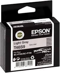Epson OEM Ultra Pro 10(T46S9) LT Grey - Click to enlarge
