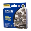 Epson OEM T0541 Photo Black Inkjet - Click for more info